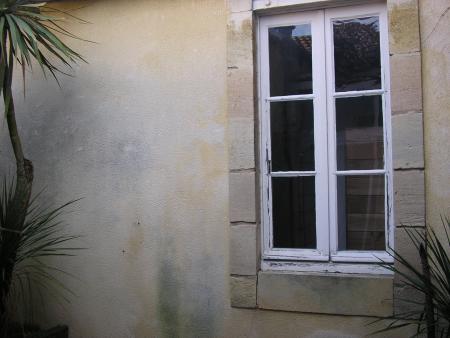 Cour